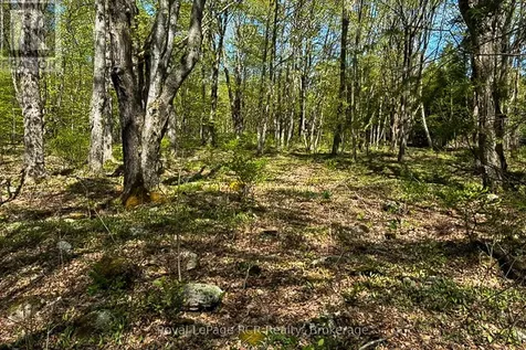 N/a Sutter Road Road West Northern Bruce Peninsula ON N0H 1W0