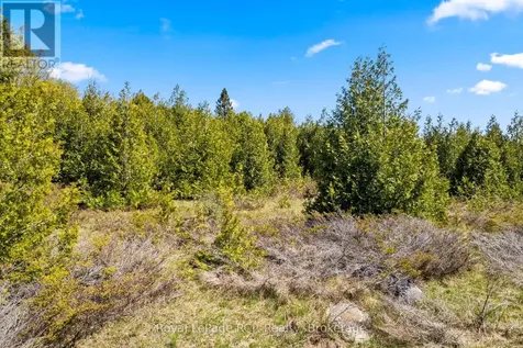 N/a Sutter Road Road West Northern Bruce Peninsula ON N0H 1W0