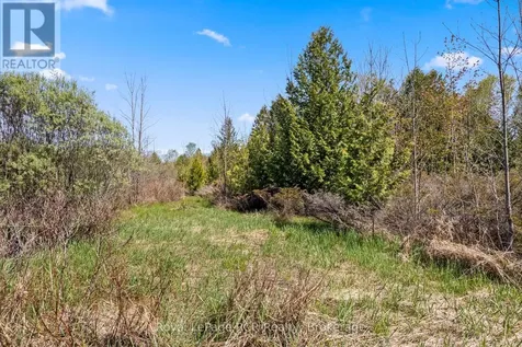 N/a Sutter Road Road West Northern Bruce Peninsula ON N0H 1W0