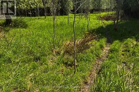 N/a Sutter Road Road West Northern Bruce Peninsula ON N0H 1W0