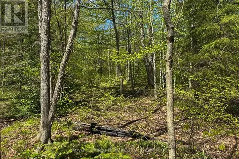 N/a Sutter Road Road West Northern Bruce Peninsula ON N0H 1W0