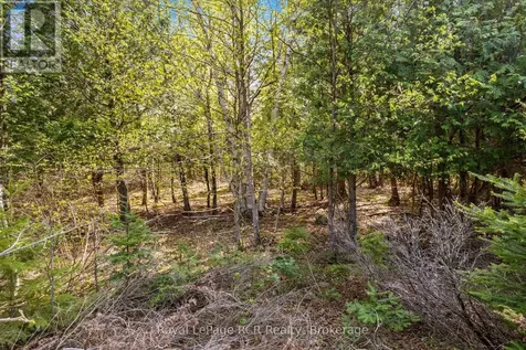 N/a Sutter Road Road West Northern Bruce Peninsula ON N0H 1W0