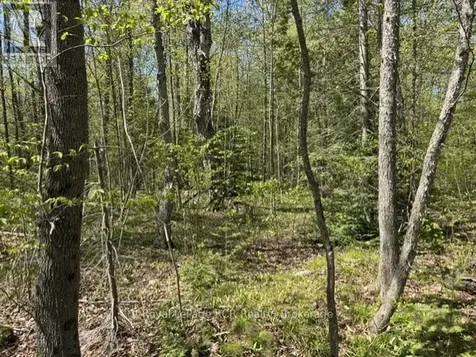 N/a Sutter Road Road West Northern Bruce Peninsula ON N0H 1W0