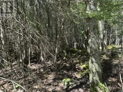 N/a Sutter Road Road West Northern Bruce Peninsula ON N0H 1W0