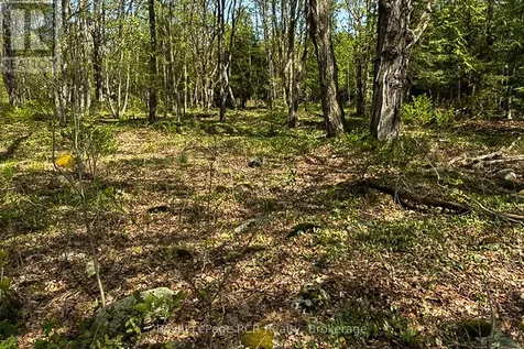 N/a Sutter Road Road West Northern Bruce Peninsula ON N0H 1W0