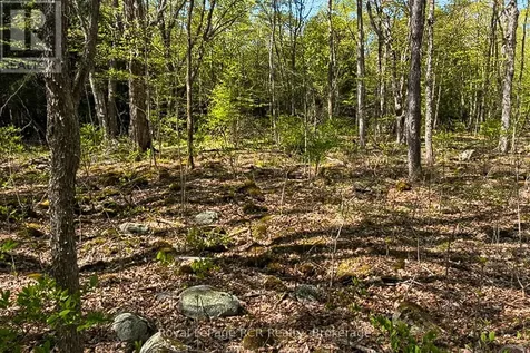 N/a Sutter Road Road West Northern Bruce Peninsula ON N0H 1W0
