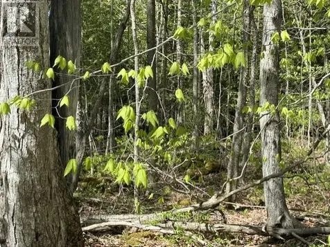N/a Sutter Road Road West Northern Bruce Peninsula ON N0H 1W0
