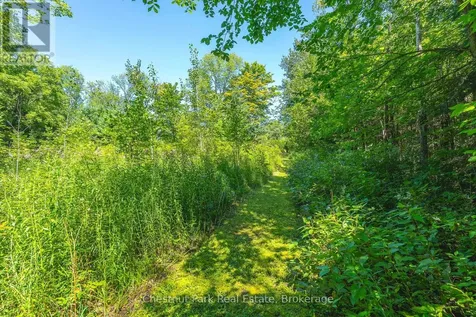 600380 Sideroad 50 North Chatsworth ON N0H 1C0