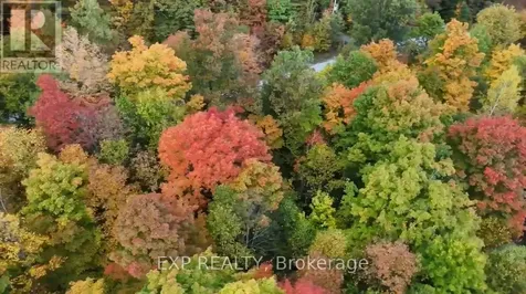00 Iron Mine Road Lanark Highlands ON K0G 1K0