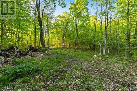 Concession Road 14 Corners Georgian Bluffs ON N0H 2K0