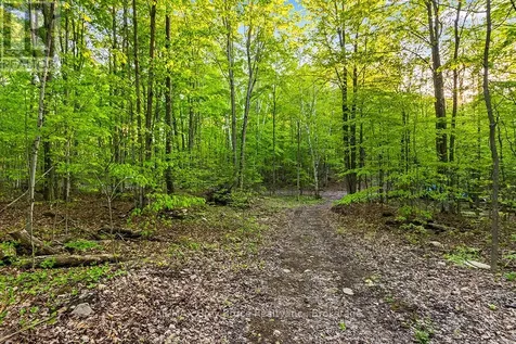 Concession Road 14 Corners Georgian Bluffs ON N0H 2K0