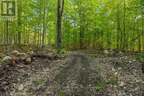 Concession Road 14 Corners Georgian Bluffs ON N0H 2K0