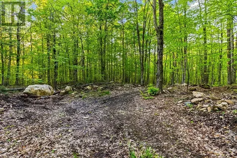 Concession Road 14 Corners Georgian Bluffs ON N0H 2K0