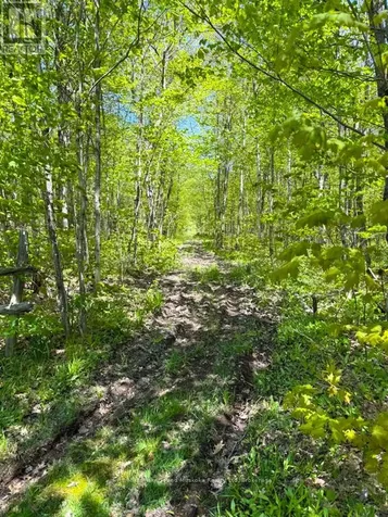690 Hurdville Road Mckellar ON P2A 2W7