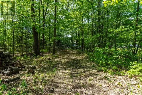 2555 Hodgins Road Severn ON L0K 2C0