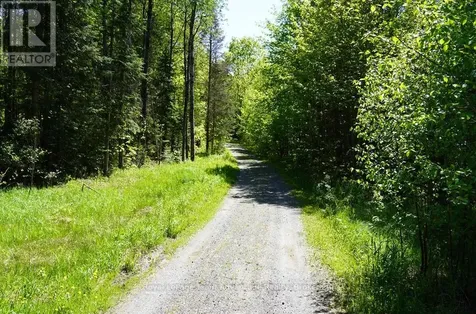 768 Hurdville Road Mckellar ON P2A 0B5