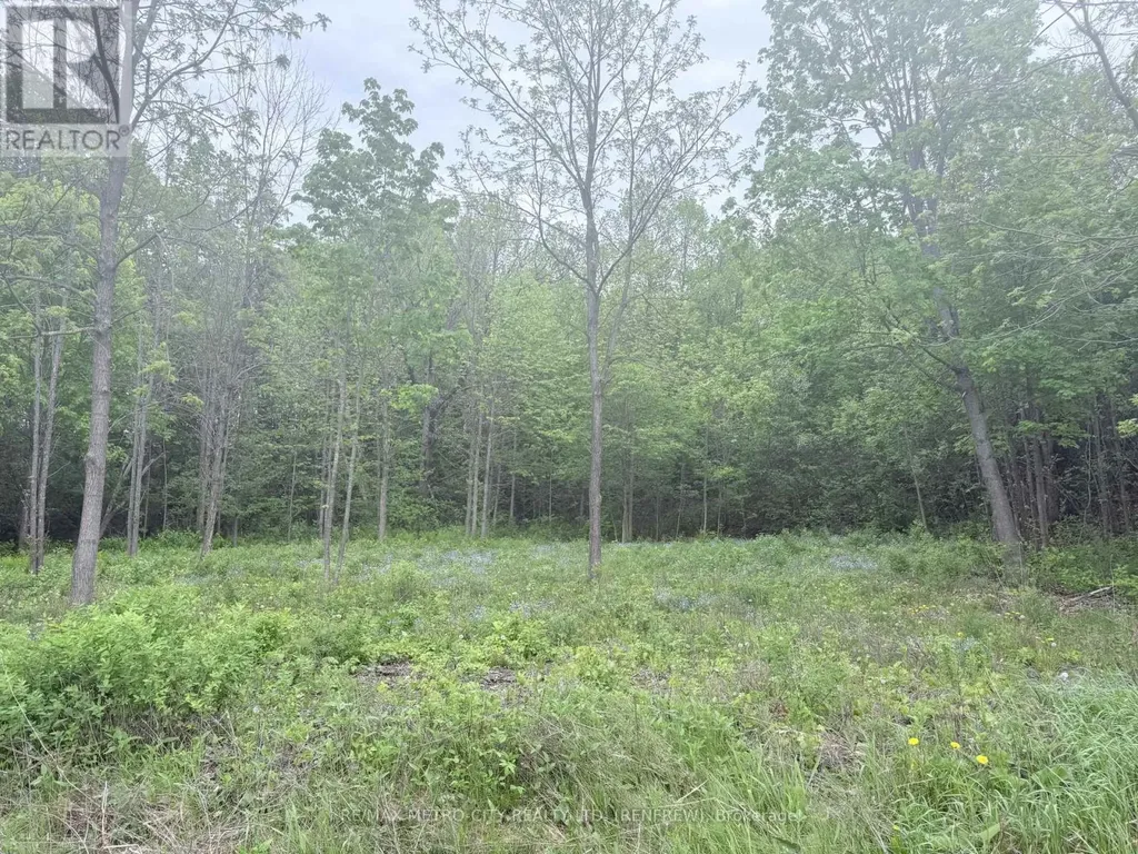 Lot 1 Mutual Avenue Renfrew ON K7V 3R4