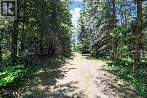5565 5th Line New Tecumseth ON L0G 1W0