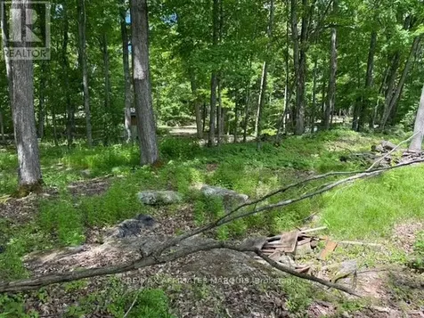 325 Cedar Sands Road Rideau Lakes ON K0E 1N0