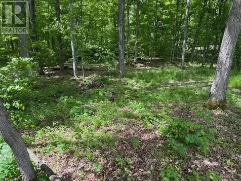 325 Cedar Sands Road Rideau Lakes ON K0E 1N0
