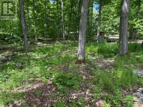 325 Cedar Sands Road Rideau Lakes ON K0E 1N0