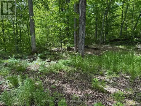 325 Cedar Sands Road Rideau Lakes ON K0E 1N0