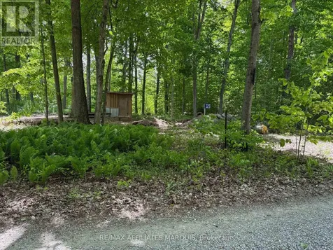325 Cedar Sands Road Rideau Lakes ON K0E 1N0