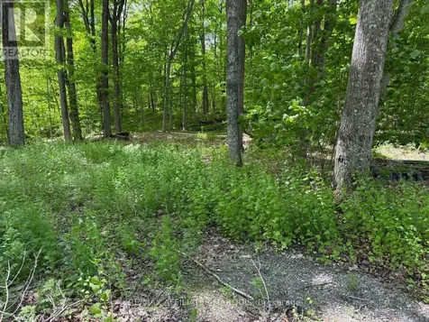 325 Cedar Sands Road Rideau Lakes ON K0E 1N0
