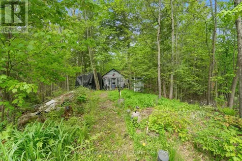454 Kennedy Drive Trent Lakes ON K0M 1A0