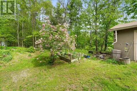 454 Kennedy Drive Trent Lakes ON K0M 1A0