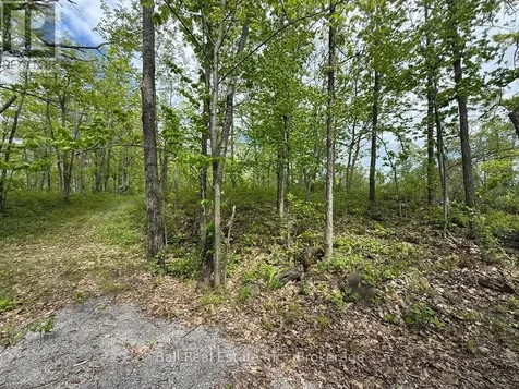 N/a Northey's Bay Road North Kawartha ON K0L 2H0