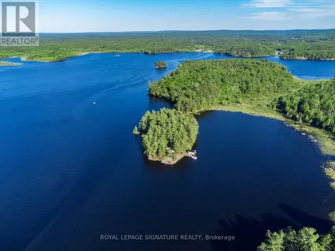2 Dad's Rest Island Nipissing ON P0H 1W0