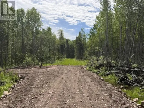Lot 2 Road 5 South Shuniah ON P0T 2M0