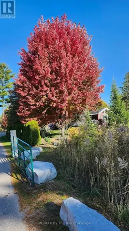 1 White Pines Trail Wasaga Beach ON L9Z 1X7