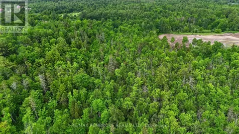 61 Oak Avenue Petawawa ON K8H 0B5