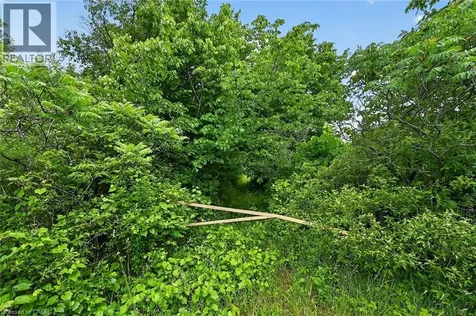 581 Townline Road West Cayuga ON N0A 1E0