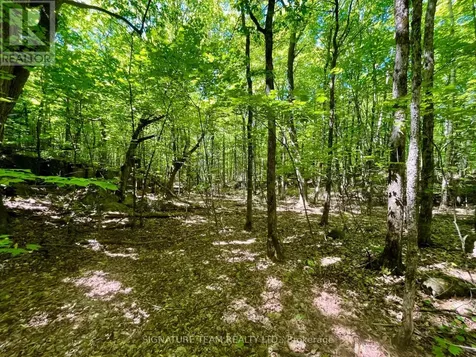 Foymount Road Bonnechere Valley ON K0J 1W0