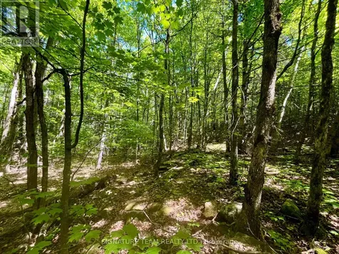 Foymount Road Bonnechere Valley ON K0J 1W0