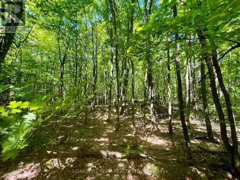 Foymount Road Bonnechere Valley ON K0J 1W0