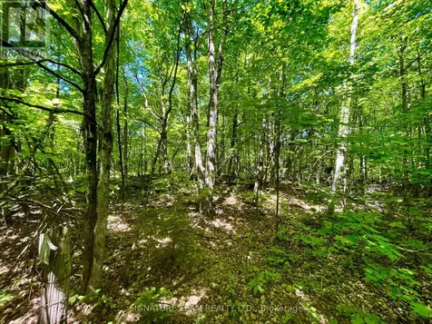 Foymount Road Bonnechere Valley ON K0J 1W0
