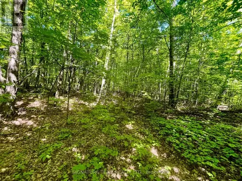 Foymount Road Bonnechere Valley ON K0J 1W0