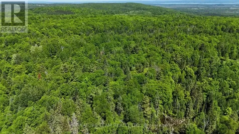 Foymount Road Bonnechere Valley ON K0J 1W0