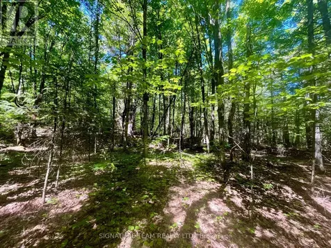 Foymount Road Bonnechere Valley ON K0J 1W0