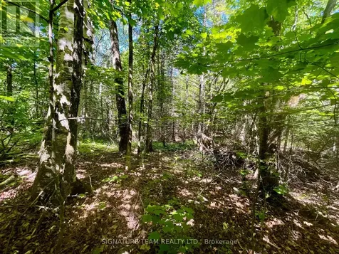 Foymount Road Bonnechere Valley ON K0J 1W0