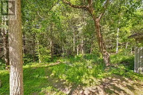 178 Fiddick Road Cramahe ON K0K 1H0