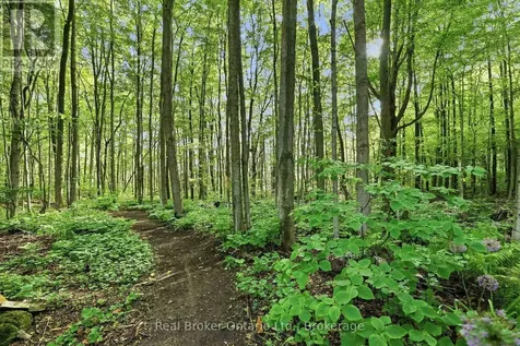 805500 25 Sideroad Grey Highlands ON N4L 1W6