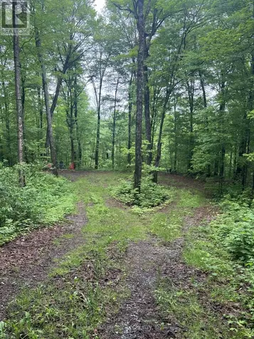 0 Hazard Hill Road Kearney ON P0A 1M0