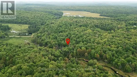 254 Expressway Road Perry ON P0A 1J0
