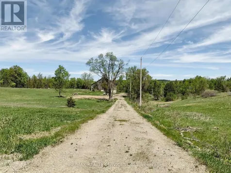 10054 Highway 9 Adjala-tosorontio ON L0G 1L0