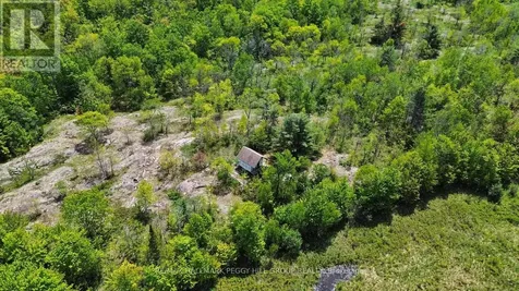 2504 Fairgrounds Road Ramara ON L0K 2B0